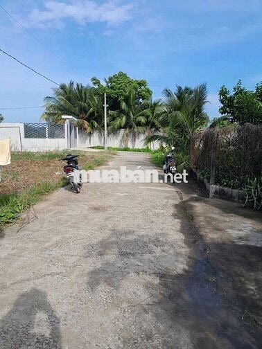 Đất 10 x 43,20 (432m2 Full thổ cư) hẻm ôtô 5m gần chợ Đồn Cây Dương