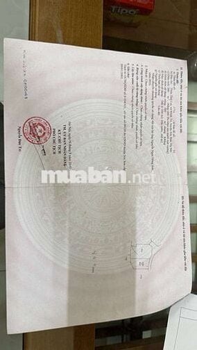 Bán Đất - Thái Lai(Minh Trí) - 360M2  - 7,55Tỷ - Đường thông Ô Tô
