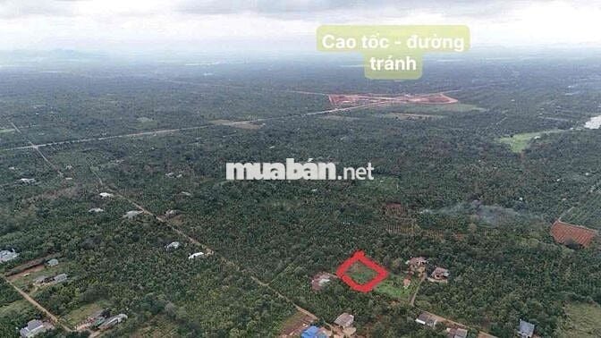 Đất diện tích lớn full thổ cư thích hợp làm nhà vườn