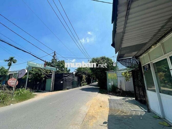 Cho thuê nhà nguyên căn tại hẻm 151 Đường Thạnh Xuân