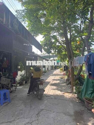 Cho thuê nhà nguyên căn tại hẻm 151 Đường Thạnh Xuân