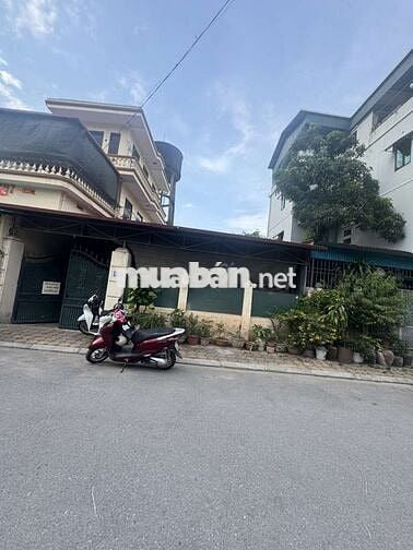 BÁN ĐẤT - TT TRÂU QUỲ - HÀ NỘI - ĐƯỜNG 6m - MT 6m - CẠNH NÔNG NGHIỆP