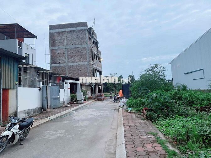 ĐẤT PHÂN LÔ ĐẠI ÁNG - SÁT VÀNH ĐAI 4 - KINH DOANH ĐỈNH