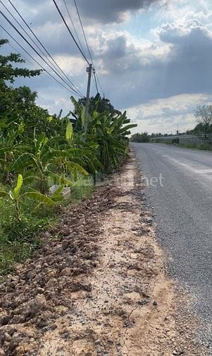 Bán đất trồng cây lâu năm 2.842m xã Hưng Long, cao Tốc Bến Lức- LT