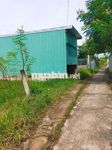 Bán nhà SHR P5 TP tân an Long an