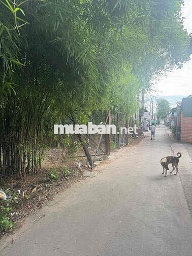 Bán đất đối diện Khu Du Lịch Đại Nam