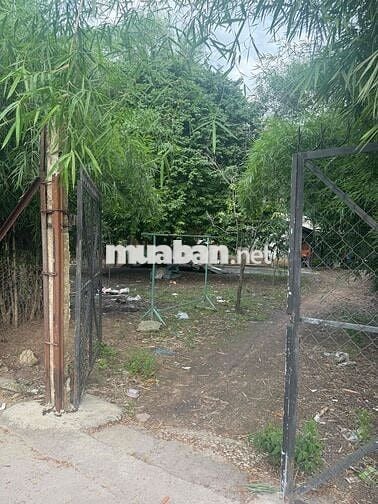 Bán đất đối diện Khu Du Lịch Đại Nam