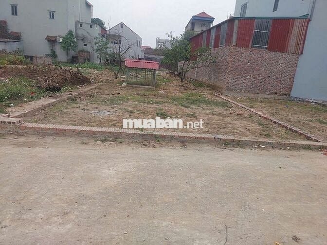 Bán gấp 50m đất tổ 9, Quang Minh, Mê Linh. (Nay là thôn Ấp Tre). Full