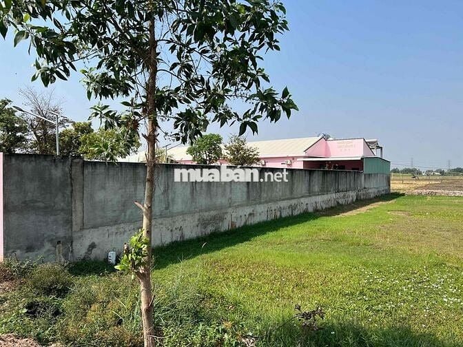 CẦN BÁN LÔ ĐẤT MẶT TIỀN THỊ TRẤN BẾN CẦU NGAY CỬA KHẨU MỘC BÀI