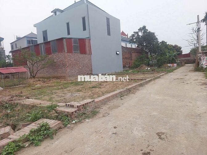 Bán gấp 50m đất tổ 9, Quang Minh, Mê Linh. (Nay là thôn Ấp Tre). Full