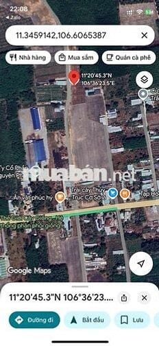 Cần bán lô đất 196m tc 100m gần Kcn bàu bàng,giá rẽ chỉ 450tr