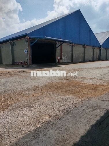 CHO THUÊ KHO  4500 GẦN KCN PHÚ MỸ 1 – BRVT