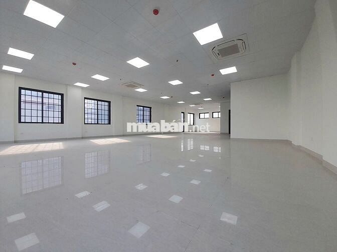 🏢 Cho thuê văn phòng tầng 5 – 170m² – 28tr/tháng – Thụy Khuê, Tây Hồ