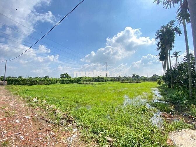MỞ BÁN 22 NỀN THUỘC LÀNG BƯỞI TÂN TRIỀU