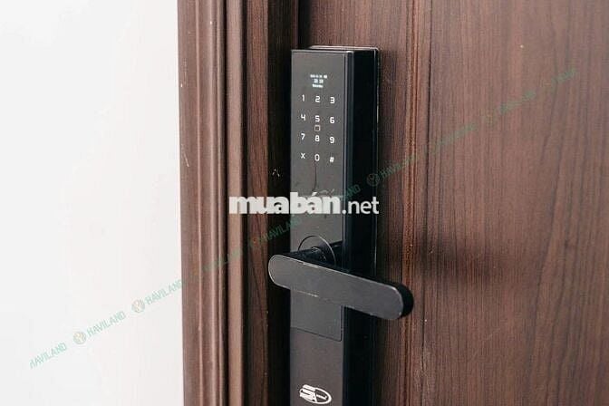 Studio khu vực Hoà Cường trống sẵn