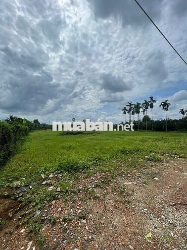 MỞ BÁN 22 NỀN THUỘC LÀNG BƯỞI TÂN TRIỀU