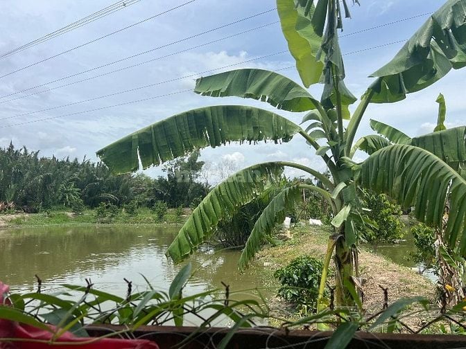 457m2 hẻm XH Lê Văn Lương xã Nhơn Đức 1,5 tỷ