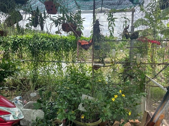 457m2 hẻm XH Lê Văn Lương xã Nhơn Đức 1,5 tỷ