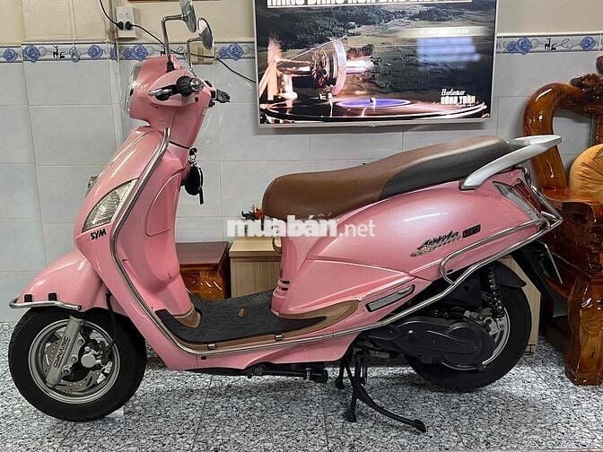 Elizabeth fi biển số tphcm chính chủ ký