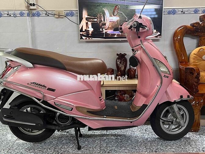 Elizabeth fi biển số tphcm chính chủ ký