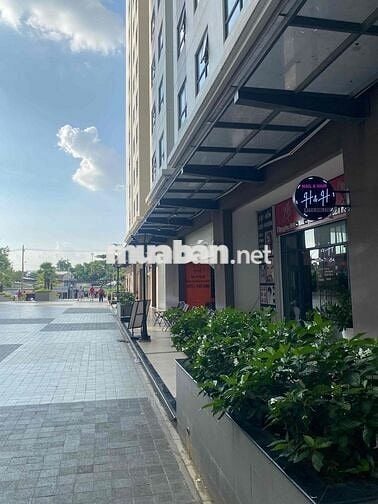 shophouse chung cư Green River vừa ở vừa kinh doanh, mở văn phòng