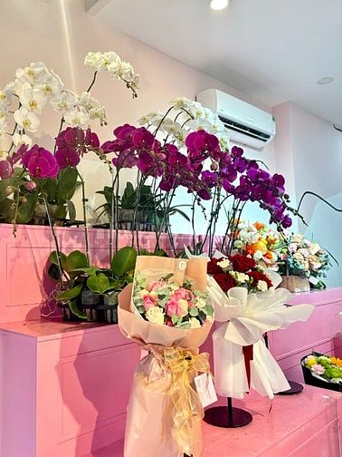 Tuyển Nhân Viên CSKH Thời Vụ - Làm lễ 20/10
