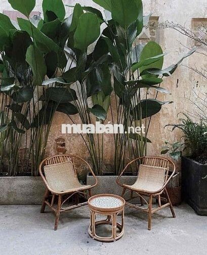 Nhà cho thuê 4x10 Trệt lửng 2 lầu Kinh Doanh Tự Do Quận 3