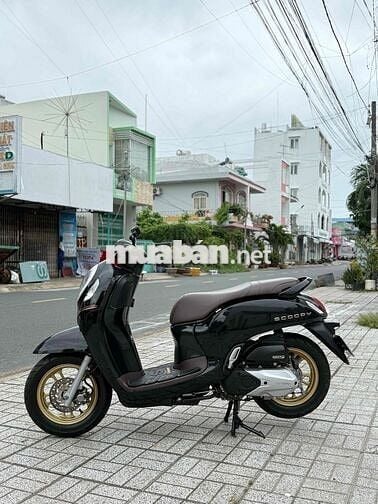 Scoopy Smakey Đen Mân Đồng