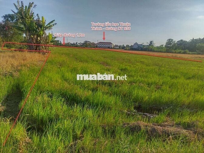 Đất nông nghiệp xã Thuận Thành