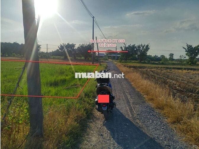 Đất nông nghiệp xã Thuận Thành