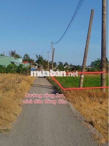 Đất nông nghiệp xã Thuận Thành
