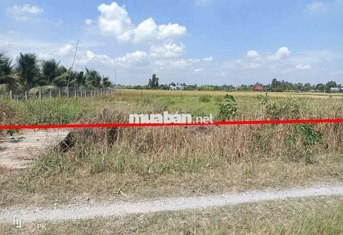 hàng hiếm , dt: 600m2 giá chỉ có 499tr , bình tịnh - tân trụ - long an