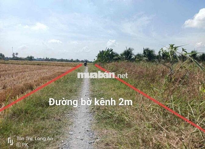 hàng hiếm , dt: 600m2 giá chỉ có 499tr , bình tịnh - tân trụ - long an