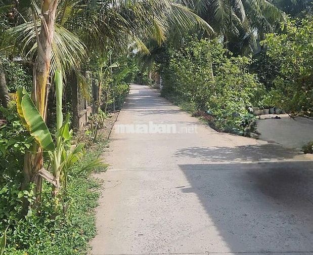Chính chủ cần bán đất xã Thanh Tân
