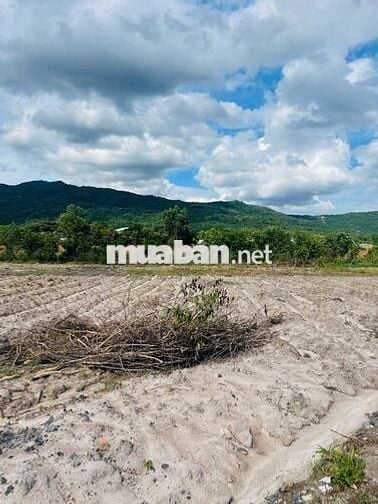 Bán 20.485m2 đất mặt tiền đường hội bài châu pha