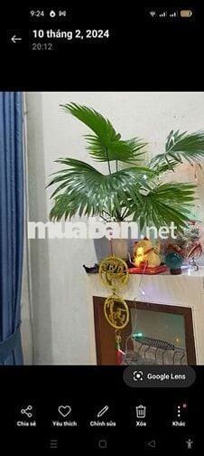 Phòng trọ gần trường Mật mã, Kiến trúc, Y Dược