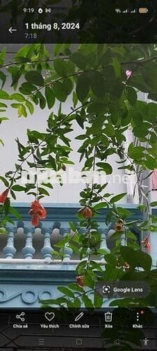Phòng trọ gần trường Mật mã, Kiến trúc, Y Dược
