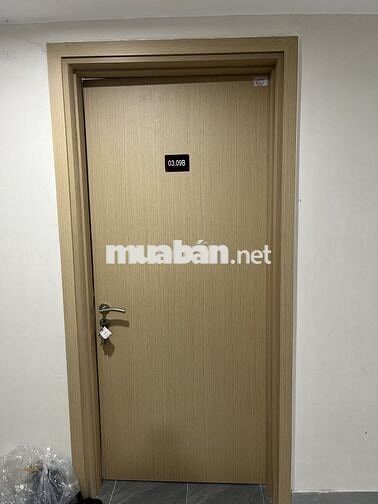 Cho Thuê Căn Hộ Golden city An Giang, 2PN, 51.3m2, mới 100%