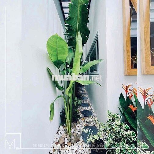 Nhà Xinh Có Sân Trước và Sau - 3PN - 25 triệu