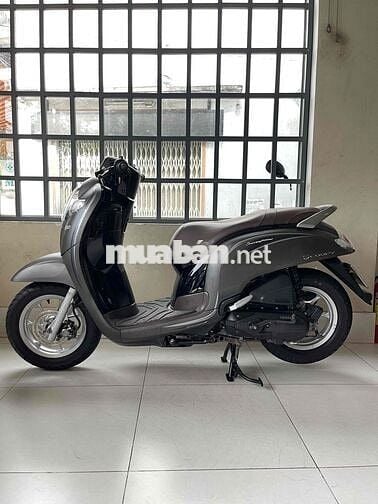 scoopy. mẫu cũ. máy sin im . áo đẹp ko trầy