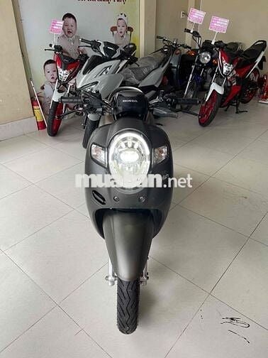 scoopy. mẫu cũ. máy sin im . áo đẹp ko trầy