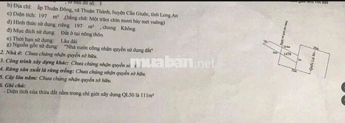 Mặt tiền quốc lộ 50 xã thuận thành cần giuộc long an ngang 7m