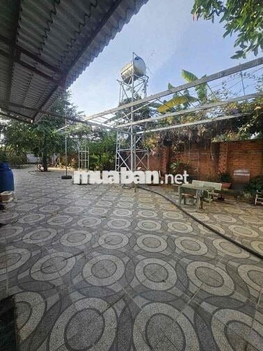 Cho thuê nhà vườn 3 mặt tiền Nguyễn Trường Tộ