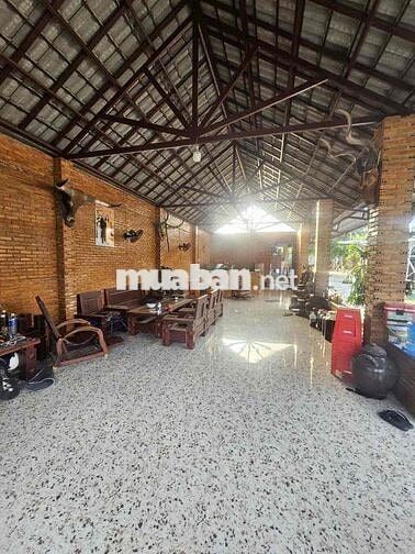 Cho thuê nhà vườn 3 mặt tiền Nguyễn Trường Tộ