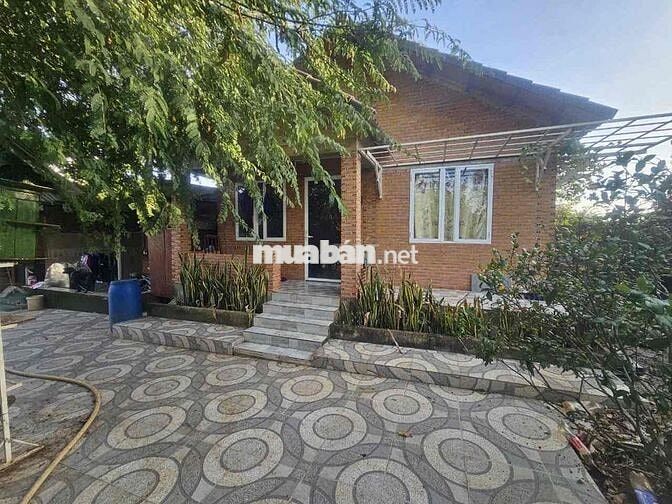 Cho thuê nhà vườn 3 mặt tiền Nguyễn Trường Tộ