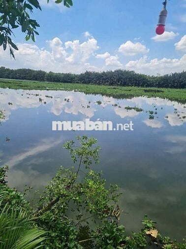 1930m2 đất thổ cư toàn bộ,view sông mát, đường ôtô,tiện ích đầy đủ,