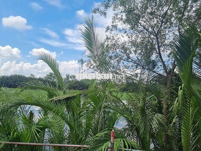 1930m2 đất thổ cư toàn bộ,view sông mát, đường ôtô,tiện ích đầy đủ,