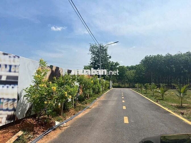 Đất Tân Định chính chủ cần bán