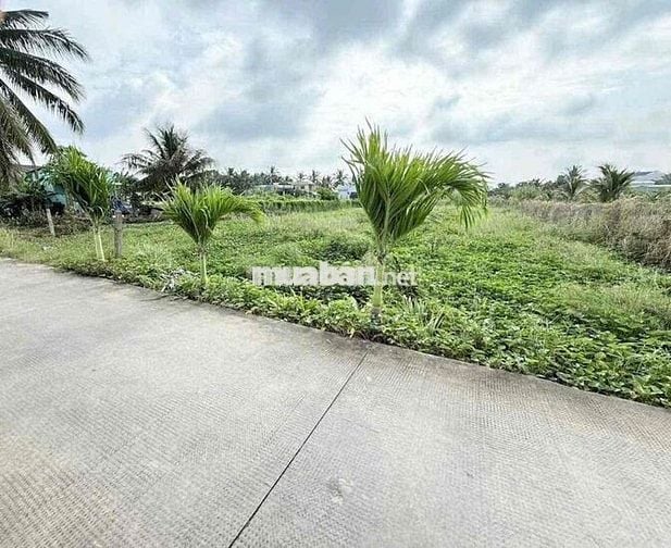 Bán đất thổ cư 5x30  lô đất đẹp nhất Phú Ngãi Trị  đối diện công ty