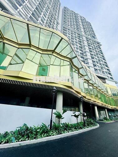 Căn hộ 4PN 127m2 và Duplex 116,9 m2 đường Hồng Bàng Quận 6 ký HĐCĐT
